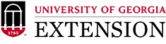 Extension Logo